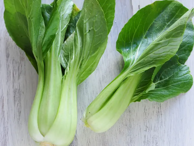 Springtime Blooms: Simple Plants for Successful Harvest