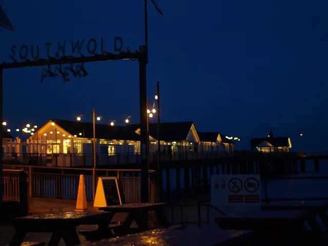 Alien or Owl: The Enigma of the Flatwoods Monster