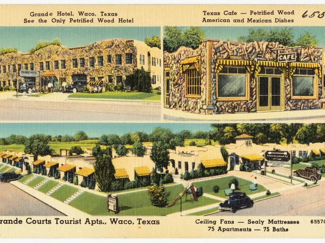 Top-Notch Infographic Tools Recommended by the Pioneers of Infographics themselves