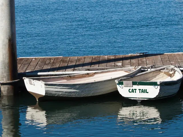 Low Water Level in the River Elbe