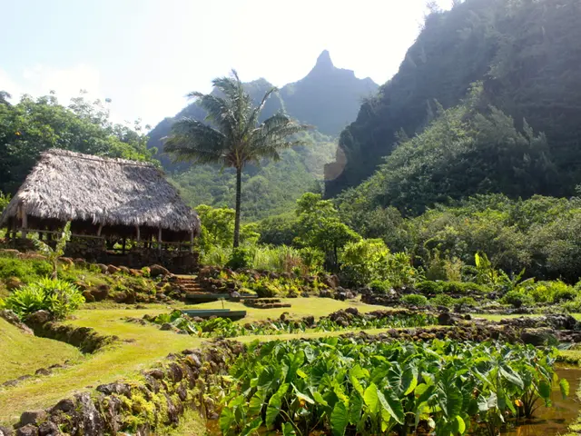 Headline Alteration: The Impact of Migraines on romantic Connections