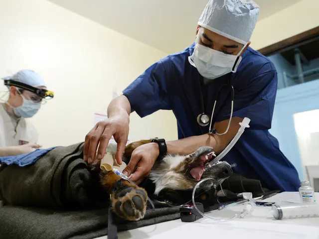 Medical practitioners are inadequately addressing individuals experiencing olfactory loss