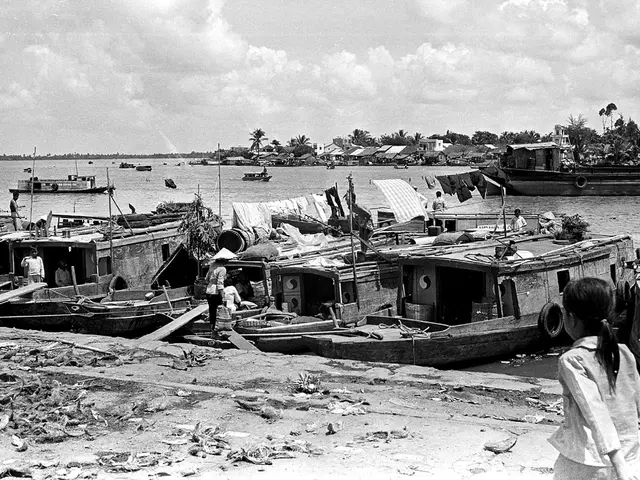 Enthusiastic appearance of Suki Waterhouse in the second installation of the sequin outfits in...