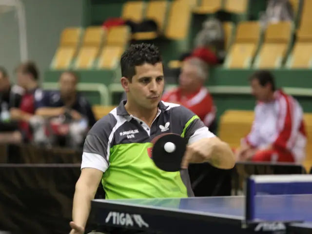 "Advocating for Implementation: The Commission Urges Action"