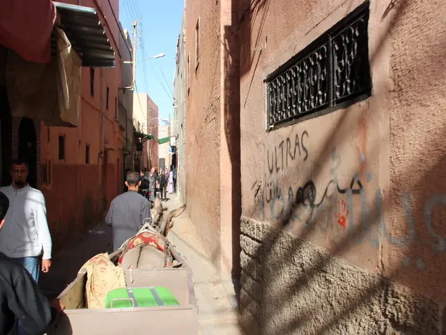 United States official confirms Palestinian leader Abbas unable to attend UN summit