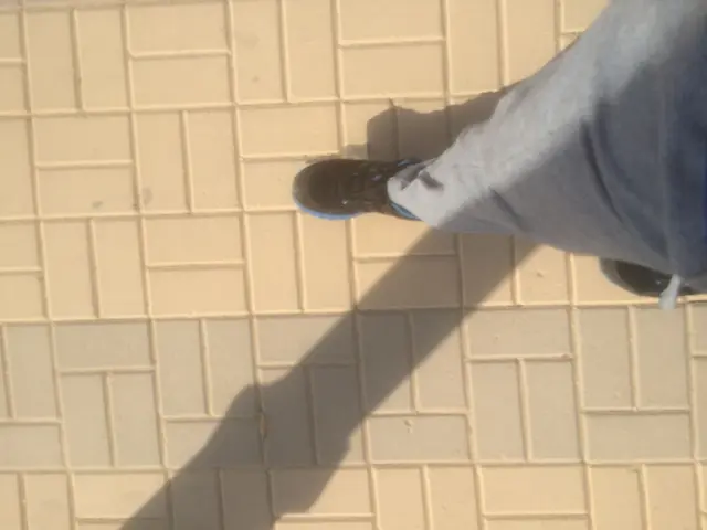 TikTok Insider Tips: Detecting a Shadow Ban