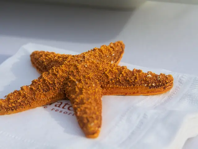 "Insides to Outwards: The Impact of a Healthy Digestive System on Skin Coloration"