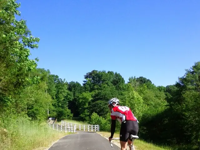 Forest mishap: Cyclist suffers severe injuries following the announcement of our statement...