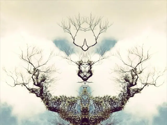 Molecular Cloud Collapse and Astrochemistry Explained - Comprehensive Overview - Astrochemistry...