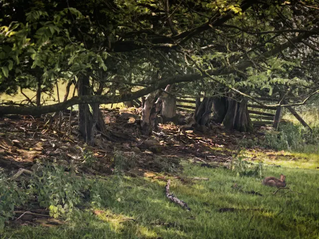 Crafting 'The Oasis of the North': The genesis of 'The Oasis of the North' in a storm-tossed nook...