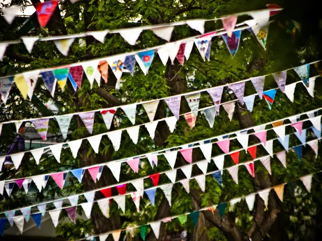 Eco-Friendly Customs for a More Green Festive Season