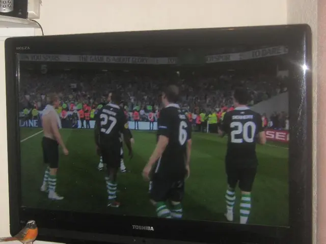 Building Relationships through Regional Alliances in Internet Protocol Television (IPTV)