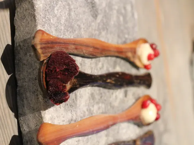 Exploration of Spoon-shaped Persimmon Seeds: A Seasonal Procession - Uncover the Three Weather...