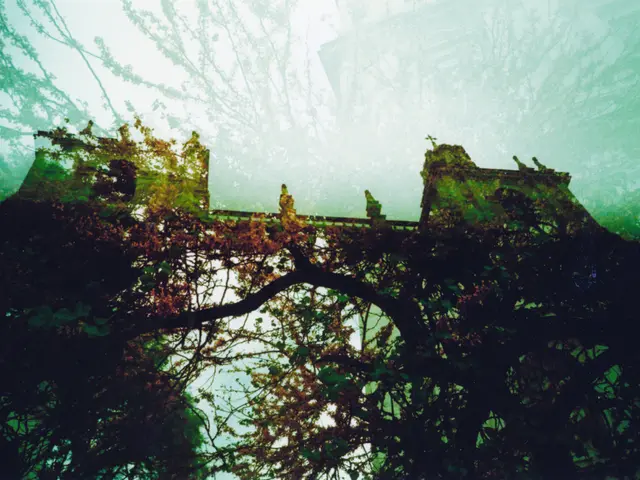 Urban planning authorities choose to dismantle Halberstädter Straße and Brenneckstraße