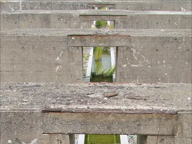 City-wide water scarcity in Cottbus