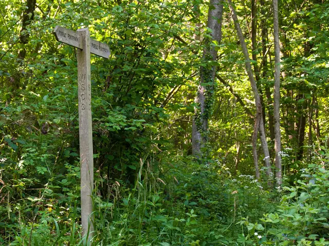 Daily New York Times crossword puzzle solutions and clues for August 29, 2025 revealed.