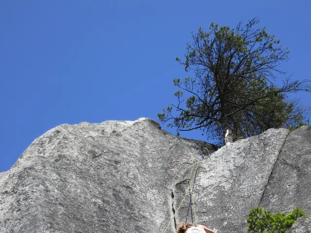 Woman sustains severe injuries after a fall during a climbing incident