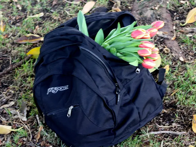 Veggie Patch Approach Aimed at Managing Unwanted Greenery with Lasagna Technique