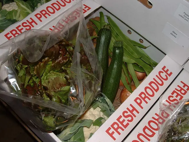 Planting Seeds in February for Growing Fresh Herbs and Vegetables