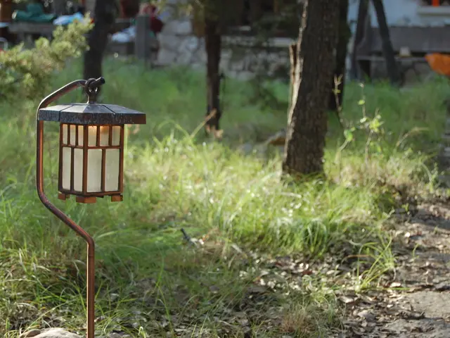 Scientists Synthesize Molecule Essential for Advancements in Artificial Sunlight Conversion