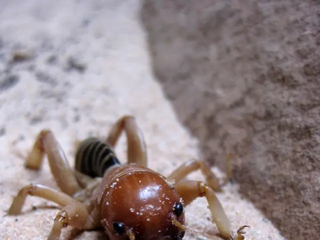 Dune Sandworm's Evolutionary and Ecological Insights: A look into the biological origins and...