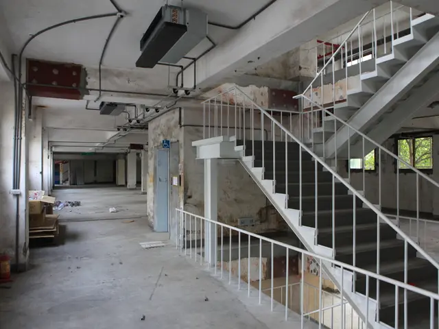 Speed Center by Hirsch Velocity