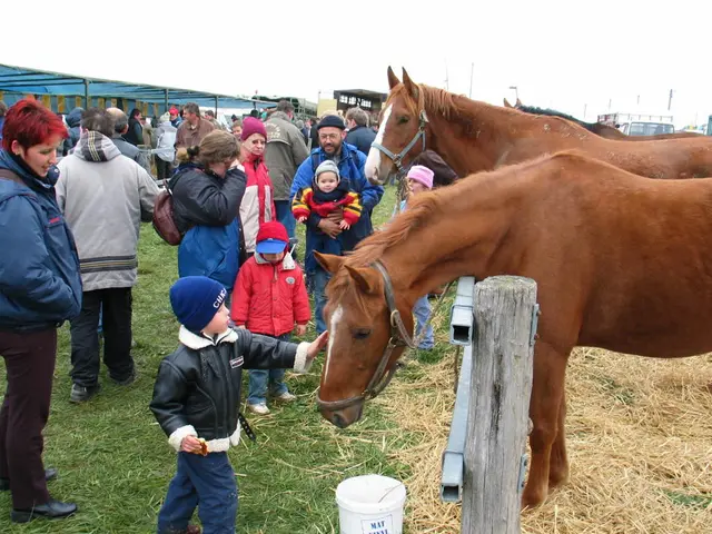 Loaded Trailers Catering to Every Equestrian Duo's Confidence Needs