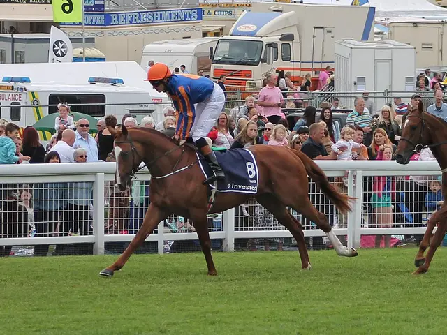 Seeking Equine Artisans: Unite with NF+ Team!