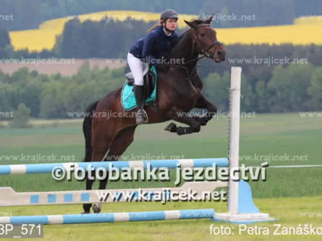 Movie Stunts, Horse Training, and Motherhood Juggle: Insights from Niki Flundra (Episode 4)