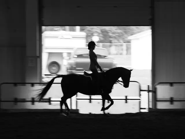 Pregnancy and Horseback Riding: A Pro or Con Debate