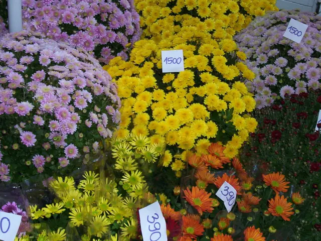 Stock earnings amassing ahead of the stock market rally