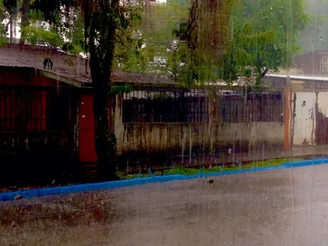 Forecast for Bahía Blanca weather on August 31, 2025: What does meteorology predict?