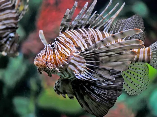 Climate-Resilient Edibles Discussed: A Potentially Long-Lasting Food Option Tangles the Taste Buds...