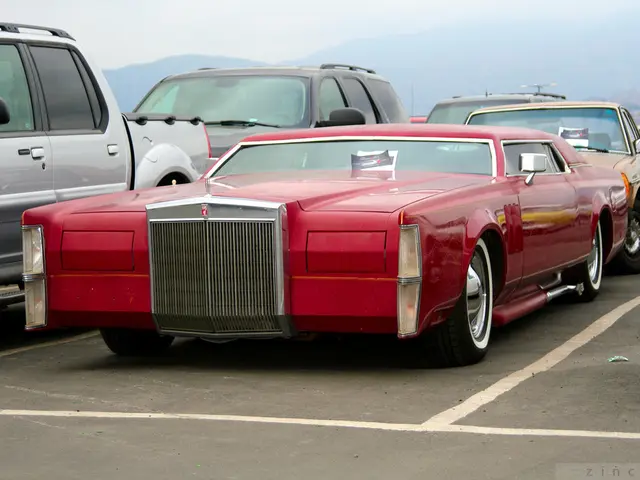 Mass of protesters gathered in Karlsruhe, advocating for the construction of a bike path between...