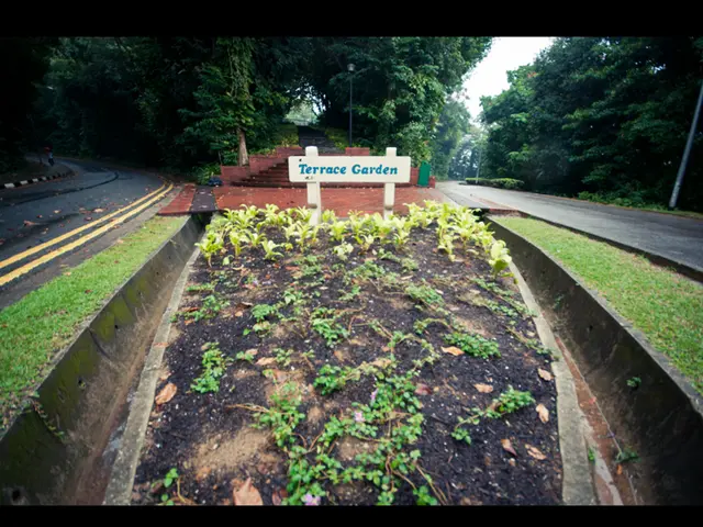 A joyous expedition into foraging in Animal Crossing: New Horizons, reigniting my fish-loving...