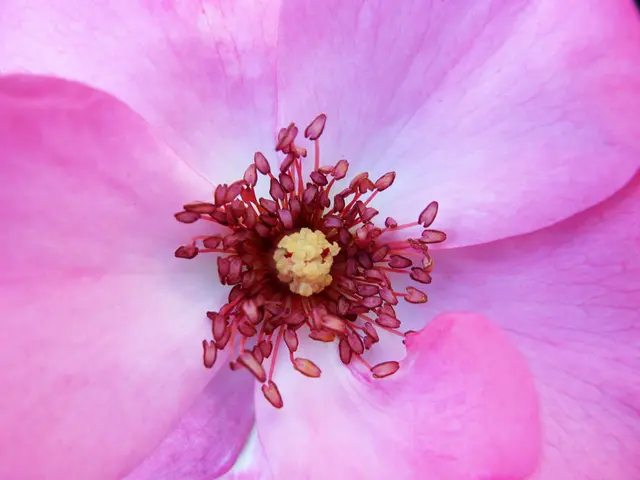 Uncovering the Outlook SMTP Server: Windows and Mac Solutions Revealed