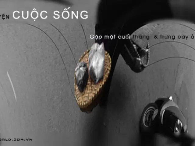 Brief Interruptions or Shutdowns