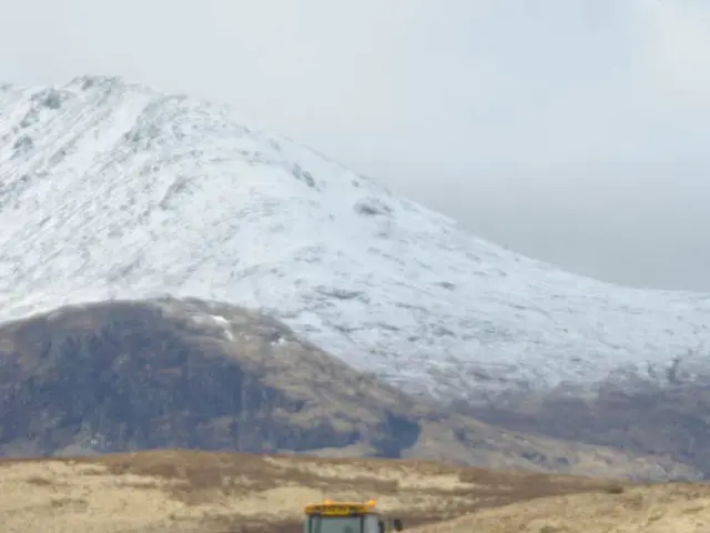 Unveiled: The Resilient Conqueror