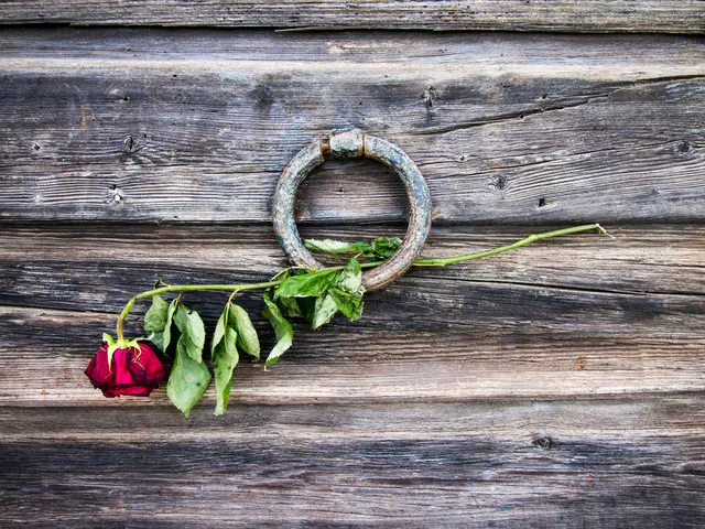 Contest Between Iron Man and The Rose Unfolds