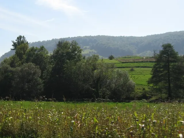 Earth experienced a swift escalation in global temperatures 56 million years ago, and its impact on...