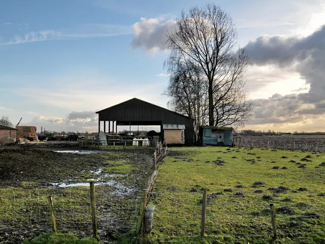 Unemployment rates in Boone, Kenton, and Campbell counties are amongst the lowest in Kentucky,...