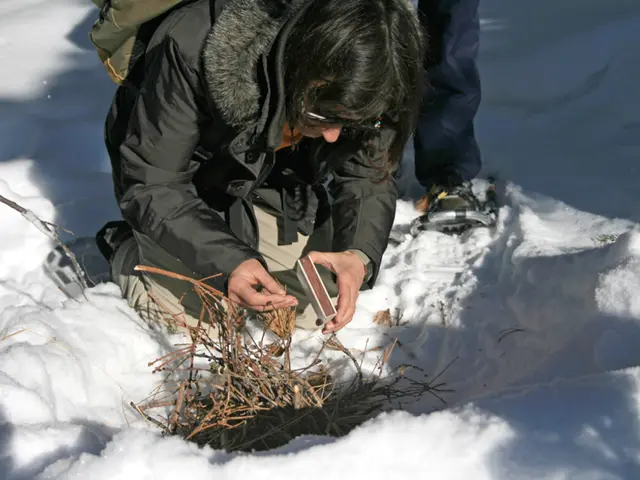 Tragedy: Fatality in Residential Blaze