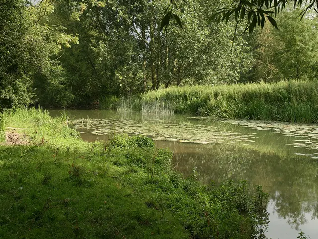 Tightening regulations on wetland protection is on the EPA's agenda