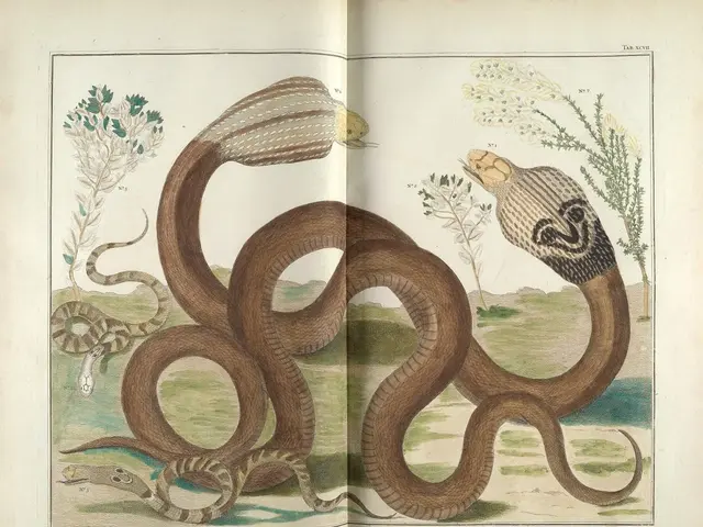 Federal authorities issue dire prediction: Pretend-dead snake species nears risk of extinction