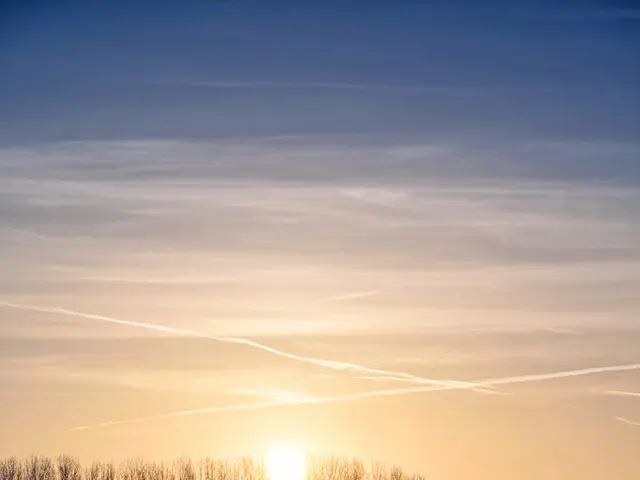 Previously employed Department of Justice attorney now works for an ecological organization