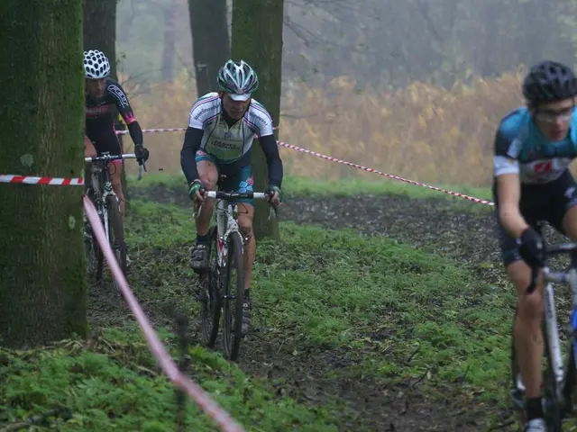 Lawn Mowing Machinery