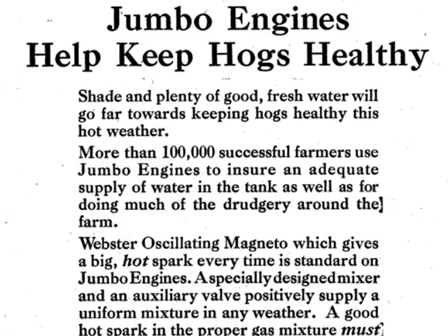 Guide on Investing in Grammarly Before Its Public Offering