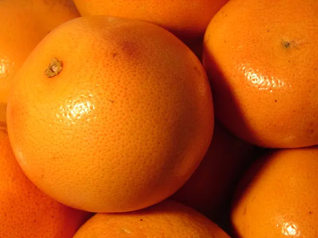 Best Time for Orange Harvesting in Florida: Crucial Guidelines for Gardeners