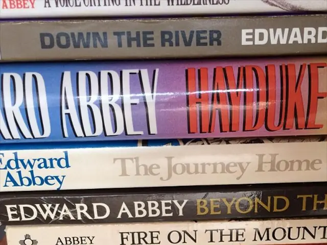 iPad now equipped with 3D, video textbooks from Kno