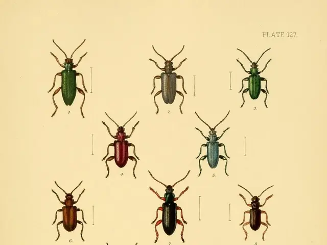 Amazon's Insect Communities Undergoing Massive Decline due to Severe Climate Conditions